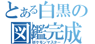 とある白黒の図鑑完成（ポケモンマスター）