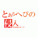 とあるへびの侵入　（その名スネーク）