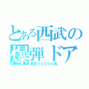 とある西武の爆弾ドア（西武３００００系）