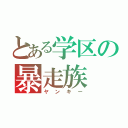 とある学区の暴走族（ヤンキー）