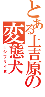 とある上吉原の変態犬（コシフリイヌ）