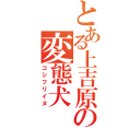 とある上吉原の変態犬（コシフリイヌ）