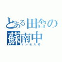 とある田舎の蘇南中（マンモス校）