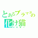 とあるブラマヨの化け猫（小杉竜一）