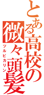 とある高校の微々頭髪（ツルピカリン）