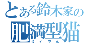 とある鈴木家の肥満型猫（ミィやん）