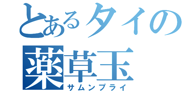 とあるタイの薬草玉（サムンプライ）