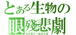 とある生物の眼殘悲劇（ＡＤＢＣ→ＡＤＣＢ）