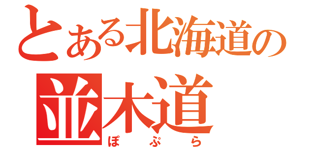 とある北海道の並木道（ぽぷら）