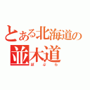 とある北海道の並木道（ぽぷら）