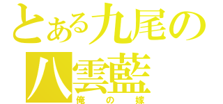 とある九尾の八雲藍（俺の嫁）