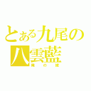 とある九尾の八雲藍（俺の嫁）