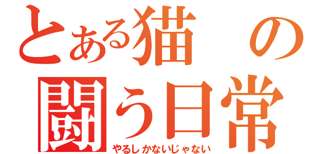 とある猫の闘う日常（やるしかないじゃない）