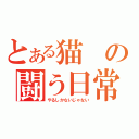 とある猫の闘う日常（やるしかないじゃない）