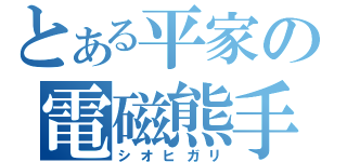 とある平家の電磁熊手（シオヒガリ）