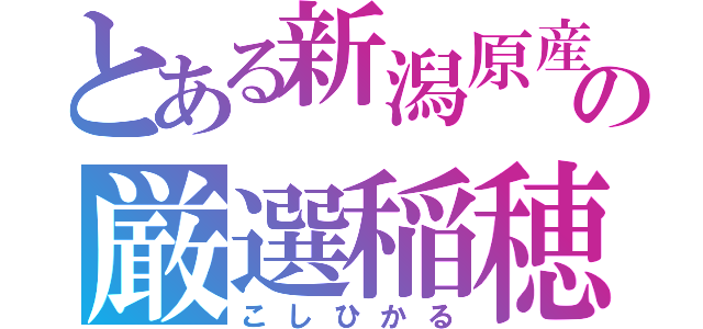 とある新潟原産　の厳選稲穂（こしひかる）