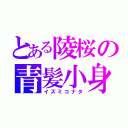 とある陵桜の青髪小身（イズミコナタ）