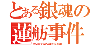 とある銀魂の蓮舫事件（れんほうってどんな漢字でしたっけ）