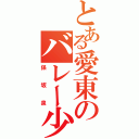 とある愛東のバレー少女（保坂泉）