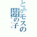 とあるモスの樹の子（キノコ）