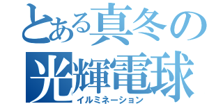 とある真冬の光輝電球（イルミネーション）