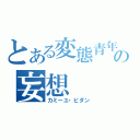 とある変態青年の妄想（カミーユ・ビダン）