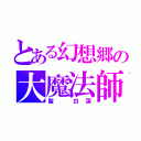 とある幻想郷の大魔法師（聖 白蓮）