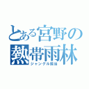 とある宮野の熱帯雨林（ジャングル担当）