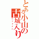 とある小山の古城入り（ベッドイン）