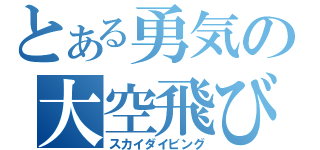 とある勇気の大空飛び（スカイダイビング）