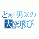 とある勇気の大空飛び（スカイダイビング）