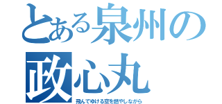 とある泉州の政心丸（飛んでゆける空を燃やしながら）