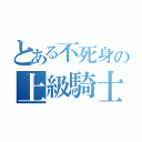 とある不死身の上級騎士（）