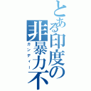 とある印度の非暴力不服従（ガンディー）