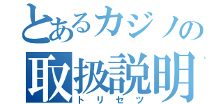 とあるカジノの取扱説明（トリセツ）