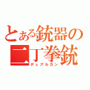 とある銃器の二丁拳銃（デュアルガン）