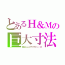 とあるＨ＆Ｍの巨大寸法（欧米ＷｏｍａｎデブサイズのＰｅｔｉｔ丈）