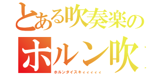 とある吹奏楽のホルン吹き（ホルンダイスキィィィィィ）