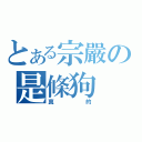 とある宗嚴の是條狗（真的）