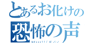 とあるお化けの恐怖の声（ヒイィィィ！！（゜ロ゜ノ）ノ）