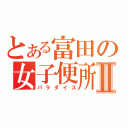 とある富田の女子便所Ⅱ（パラダイス）