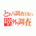 とある調査団の壁外調査（トライ）