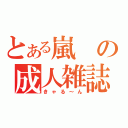 とある嵐の成人雑誌（きゃる～ん）