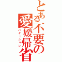 とある不要の愛媛帰省（バケーション）