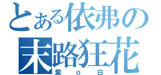 とある依弗の末路狂花（紫ｏ白）