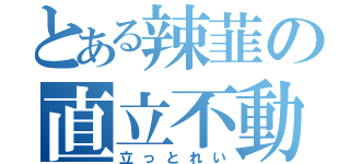 とある辣韮の直立不動（立っとれい）