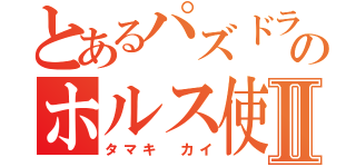 とあるパズドラのホルス使いⅡ（タマキ カイ）