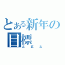 とある新年の目標（文武文）