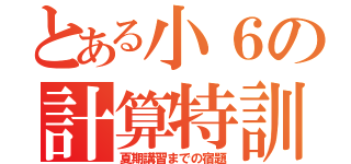 とある小６の計算特訓（夏期講習までの宿題）