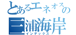 とあるエネオスの三浦海岸（インデックス）